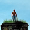 Greenhorny