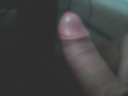 Viperwhv