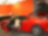 Ferrari & Fast nackt - Bild 4 von 20
