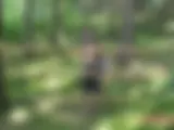 Amanda Jane im Wald gefickt - Bild 2 von 45