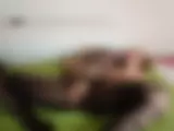 Schwarzer Catsuit - Bild 19 von 21
