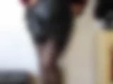 Das reinste Lack, Leder, Latex, Wetlook und Spitzenparadies - Teil 1 - Bild 16 von 50